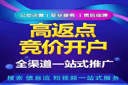 行业领先企业的SEM推广代运营实战经验